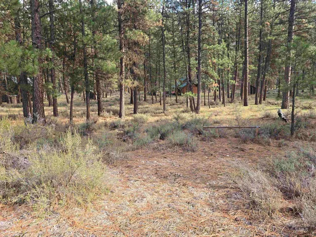 $120,000 | 21 Lots 8 9 Lowman Id 83637, Lowman, ID 83637