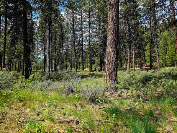 $120,000 | 21 Lots 8 9 Lowman Id 83637, Lowman, ID 83637