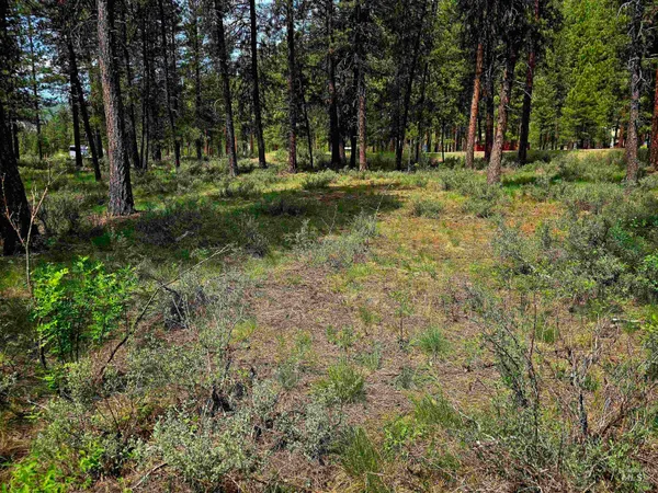 $120,000 | 21 Lots 8 9 Lowman Id 83637, Lowman, ID 83637