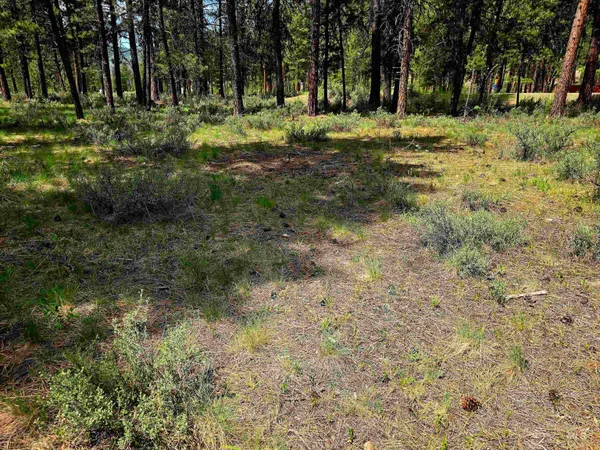 $120,000 | 21 Lots 8 9 Lowman Id 83637, Lowman, ID 83637