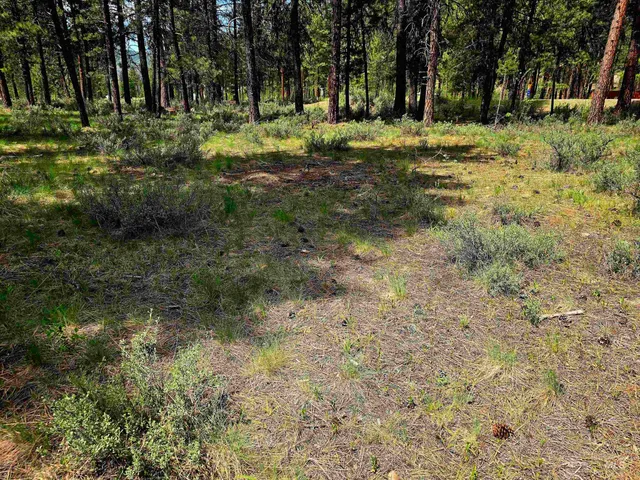 $120,000 | 21 Lots 8 9 Lowman Id 83637, Lowman, ID 83637