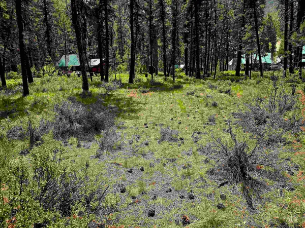 $120,000 | 21 Lots 8 9 Lowman Id 83637, Lowman, ID 83637