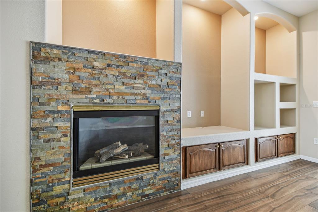 19331 Wind Dancer Street Lutz, FL 33558 - Photo 38 of 92 a living room with a fireplace