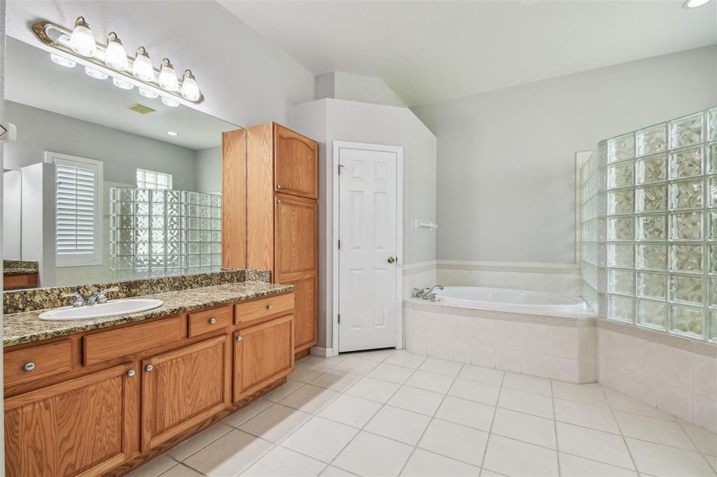 19331 Wind Dancer Street Lutz, FL 33558 - Photo 47 of 92 a spacious bathroom with a granite countertop tub sink shower and a mirror
