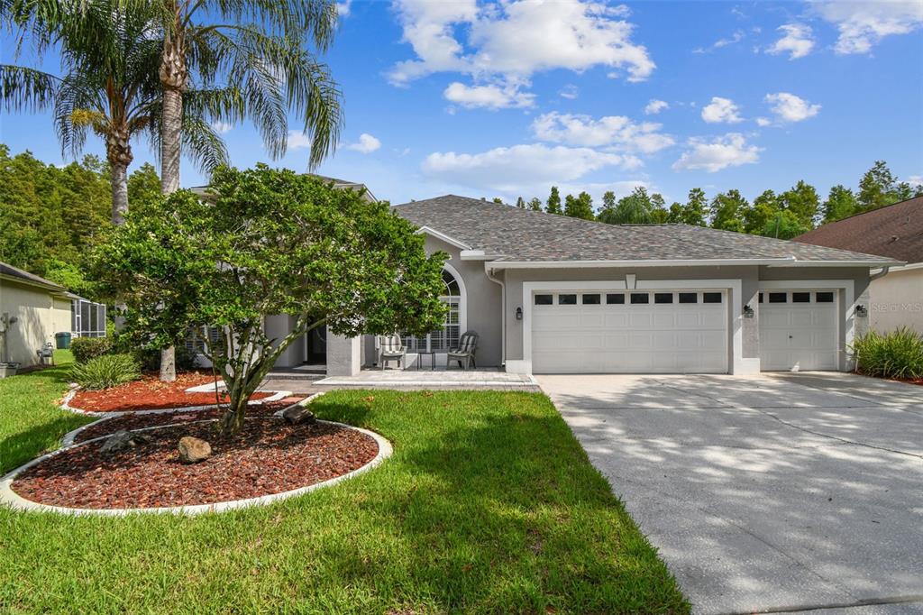 19331 Wind Dancer Street Lutz, FL 33558 - Photo 7 of 92 a view of a house with a swimming pool and a yard