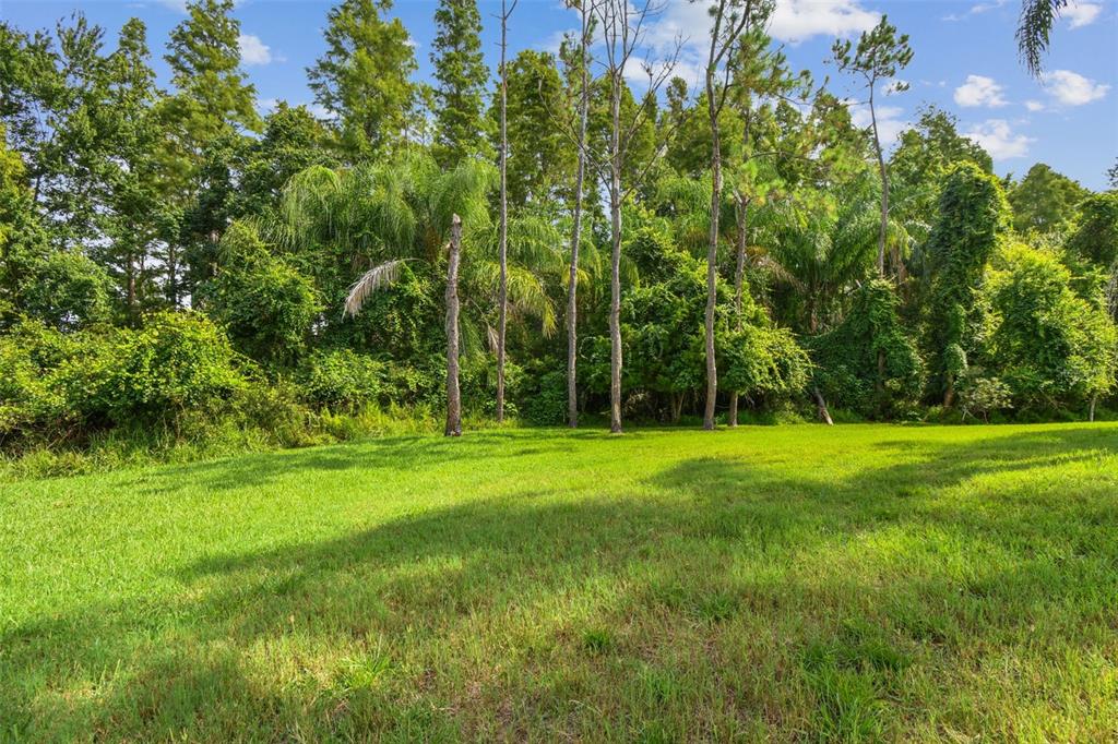 19331 Wind Dancer Street Lutz, FL 33558 - Photo 72 of 92