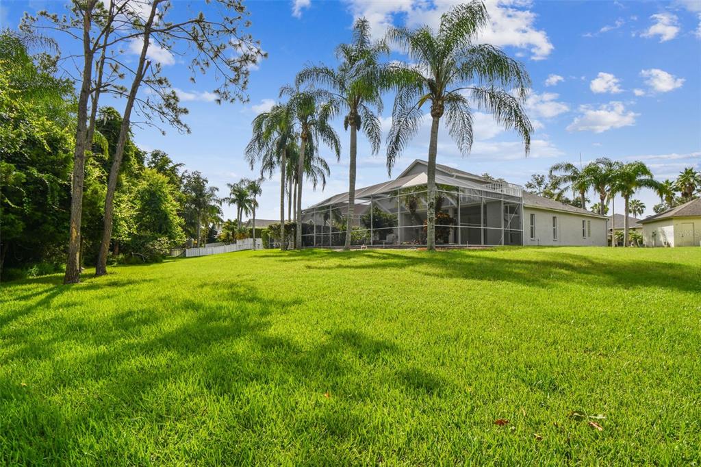 19331 Wind Dancer Street Lutz, FL 33558 - Photo 73 of 92 a view of a house with a big yard