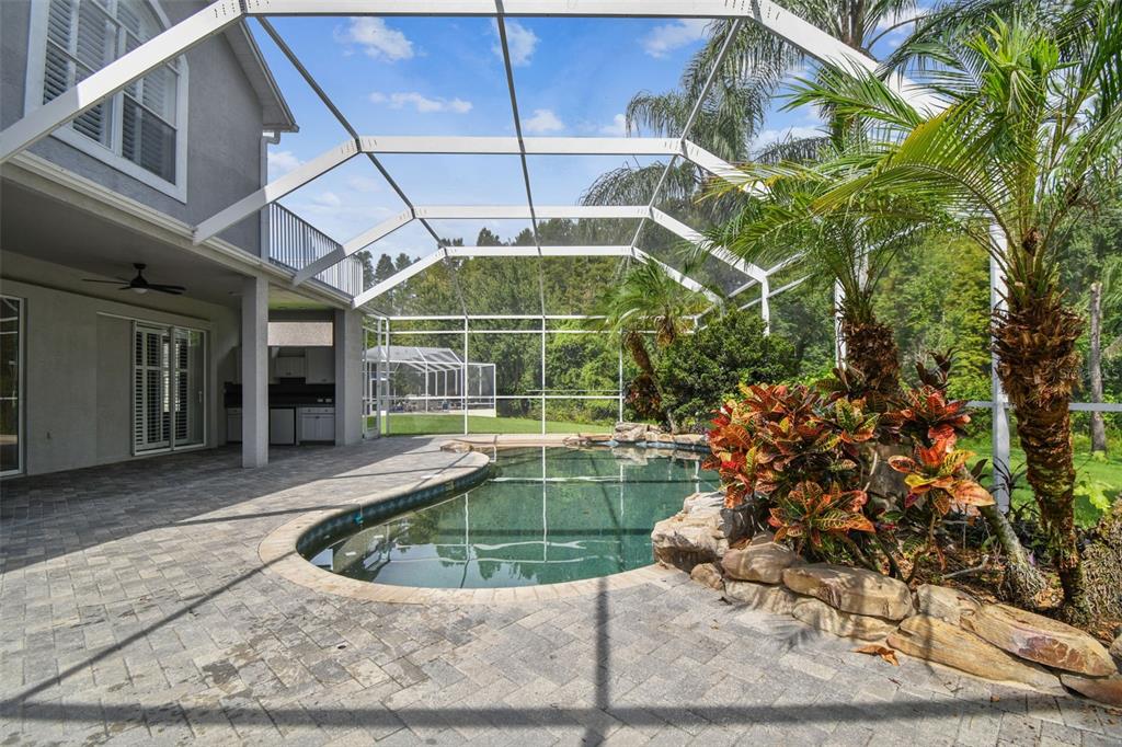 19331 Wind Dancer Street Lutz, FL 33558 - Photo 74 of 92