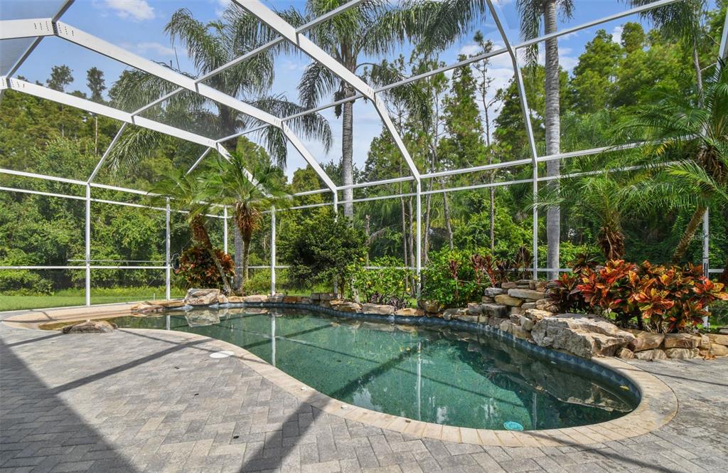 19331 Wind Dancer Street Lutz, FL 33558 - Photo 75 of 92