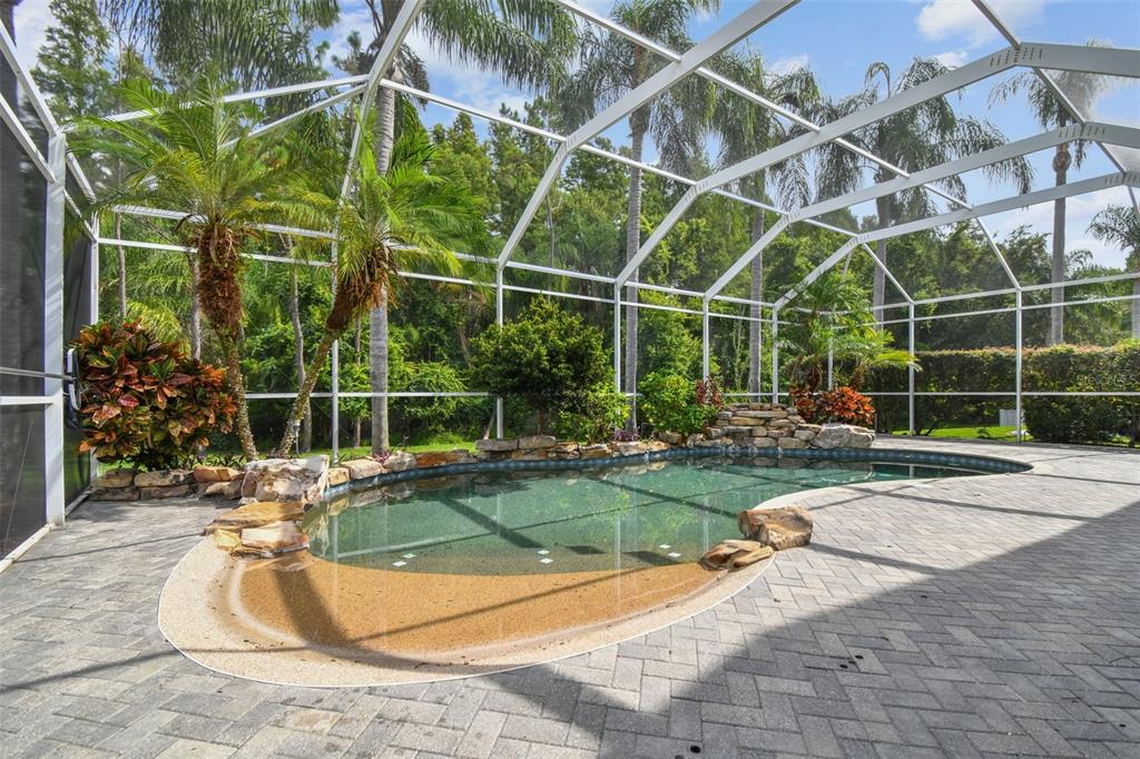 19331 Wind Dancer Street Lutz, FL 33558 - Photo 76 of 92