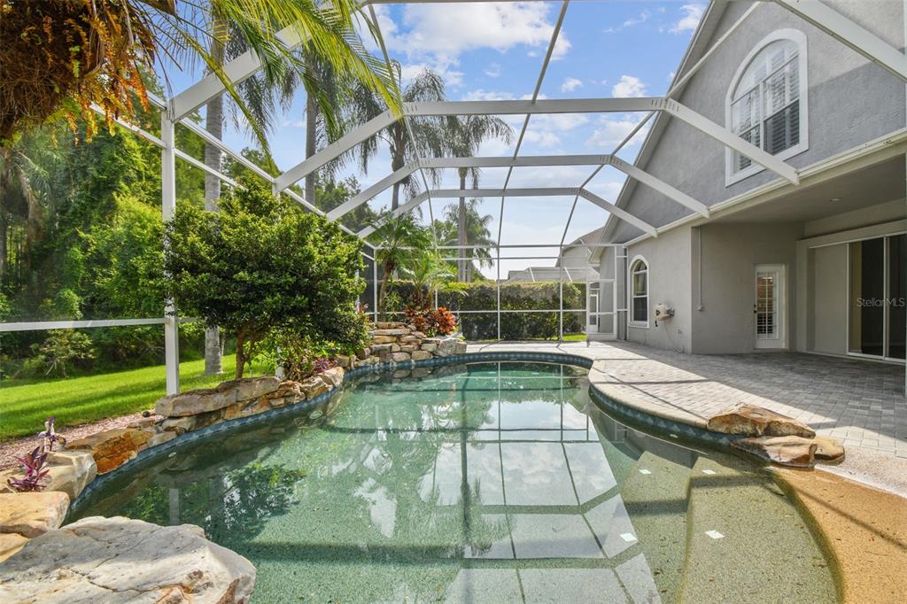 19331 Wind Dancer Street Lutz, FL 33558 - Photo 77 of 92