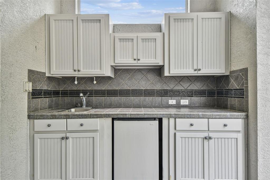 19331 Wind Dancer Street Lutz, FL 33558 - Photo 79 of 92 a kitchen with granite countertop white cabinets and sink