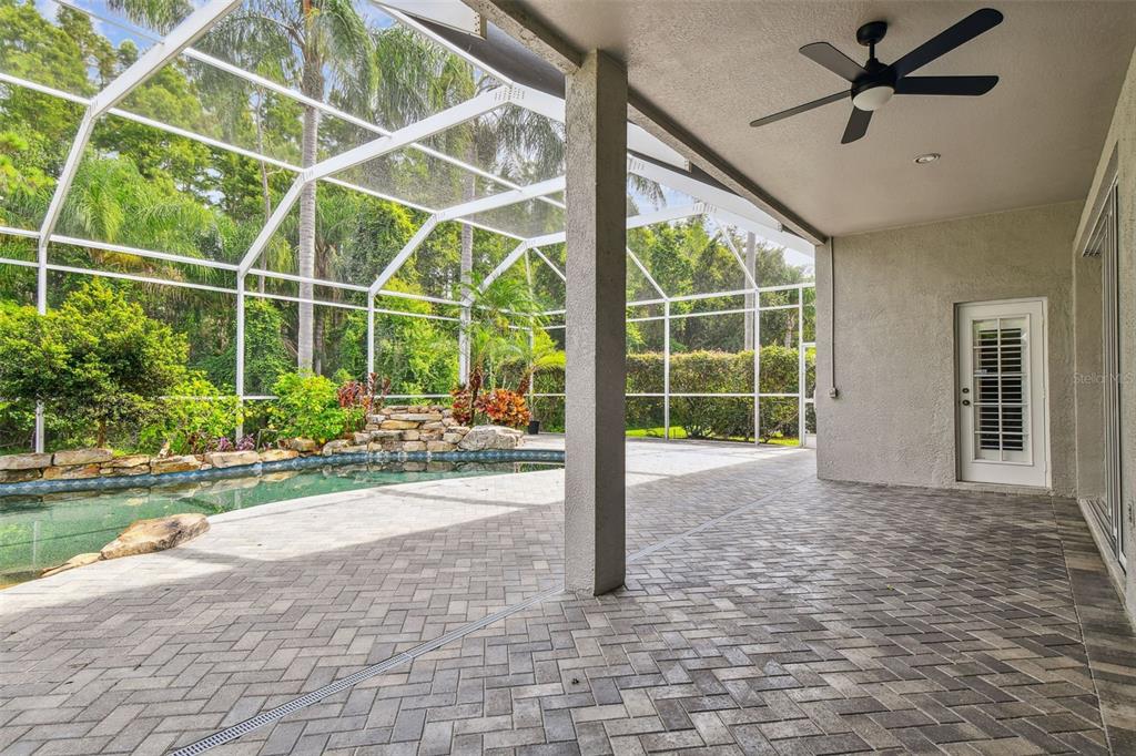 19331 Wind Dancer Street Lutz, FL 33558 - Photo 80 of 92 a view of a house with backyard and a garden