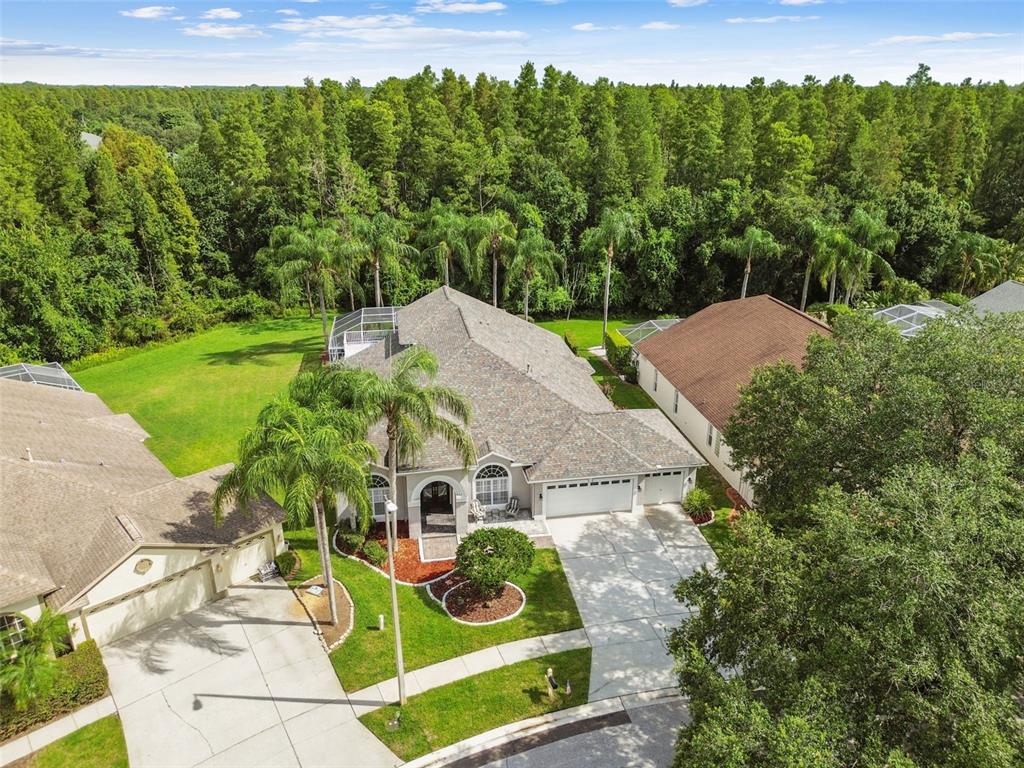 19331 Wind Dancer Street Lutz, FL 33558 - Photo 83 of 92