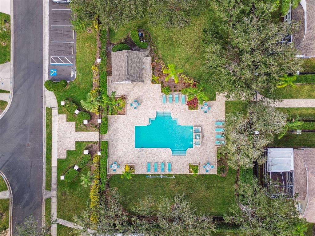 19331 Wind Dancer Street Lutz, FL 33558 - Photo 87 of 92 an aerial view of a house with a garden