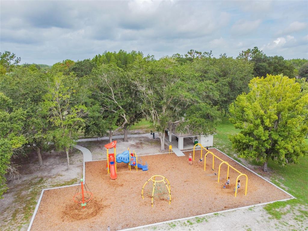 19331 Wind Dancer Street Lutz, FL 33558 - Photo 88 of 92