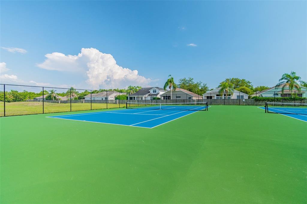 19331 Wind Dancer Street Lutz, FL 33558 - Photo 91 of 92 a view of a golf course with a lake
