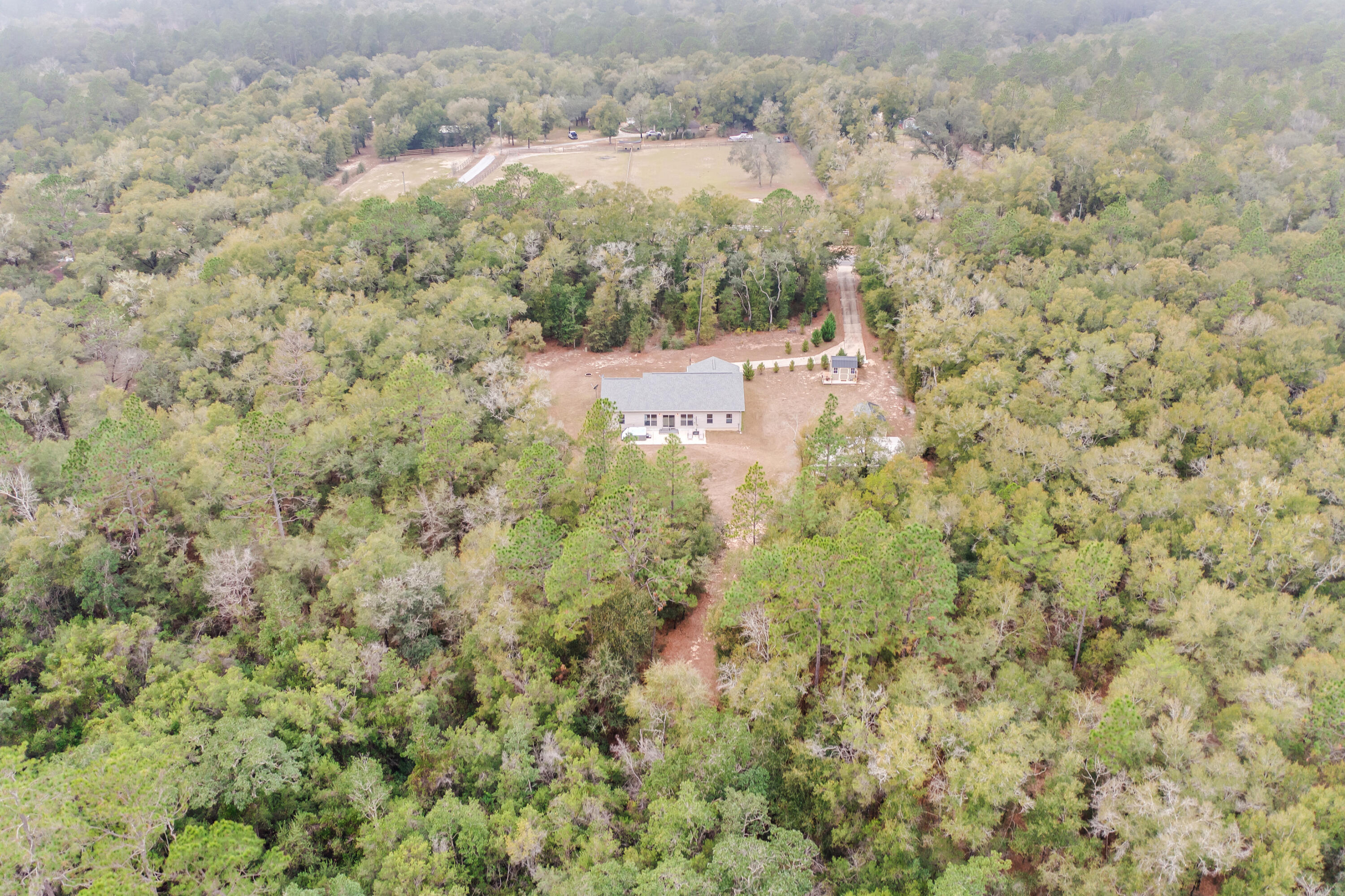 4444 Wilkerson Bluff Road Holt, FL 32564 - Photo 32 of 32 a view of a bunch of trees