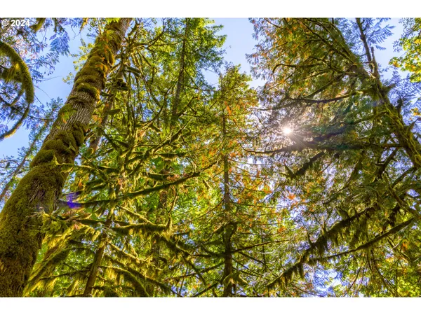 $1,199,000 | 58200 East Marmot Road, Sandy, OR 97055