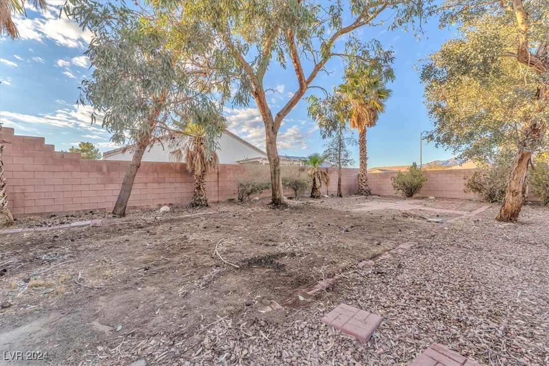 4125 Allyson Rae Street North Las Vegas, NV 89032 - Photo 11 of 55