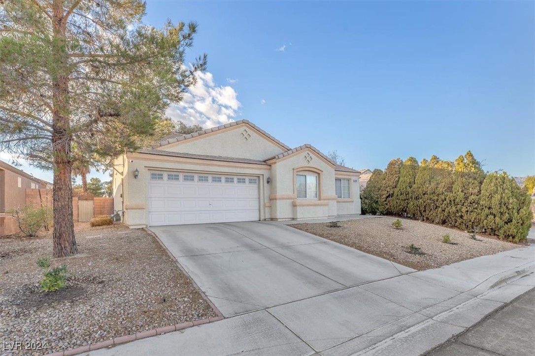 4125 Allyson Rae Street North Las Vegas, NV 89032 - Photo 44 of 55