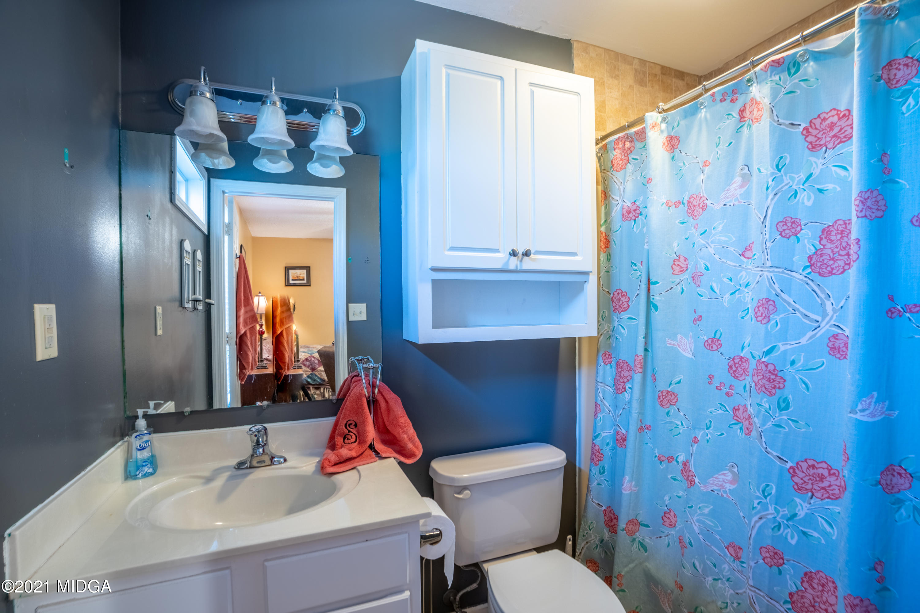 208 Camelot Road Gray, GA 31032 - Photo 28 of 41 a bathroom with a sink and a mirror