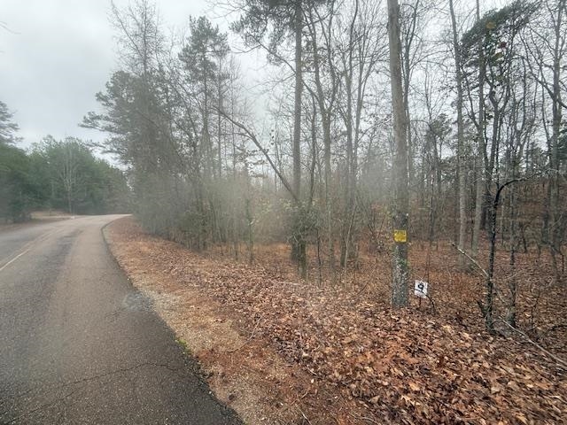 a view of a forest filled with trees