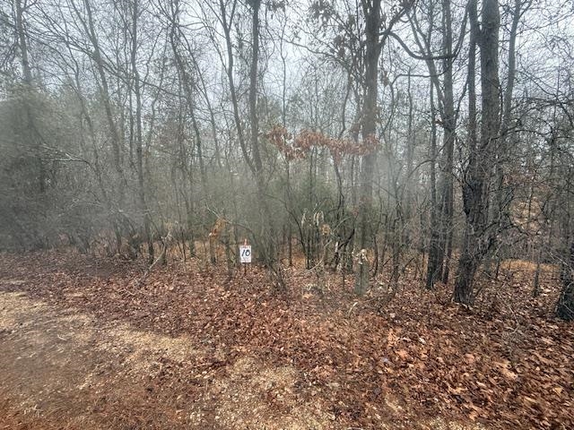 9 Harris Road Bolivar, TN 38008 - Photo 12 of 13 a view of a yard with trees in the background