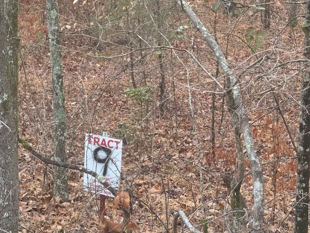 9 Harris Road Bolivar, TN 38008 - Photo 2 of 13 a sign board with a trees