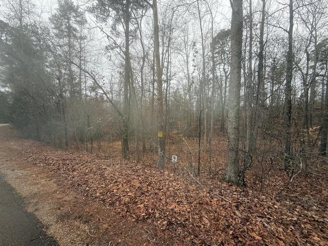 9 Harris Road Bolivar, TN 38008 - Photo 3 of 13 a view of a backyard