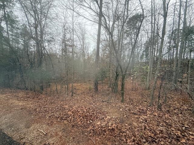 9 Harris Road Bolivar, TN 38008 - Photo 4 of 13 a view of a forest with trees in the background