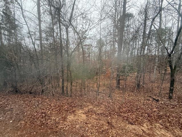 9 Harris Road Bolivar, TN 38008 - Photo 5 of 13 a view of a yard with large trees