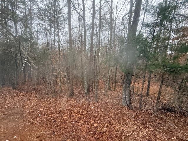 9 Harris Road Bolivar, TN 38008 - Photo 6 of 13 a view of a yard with trees in the background