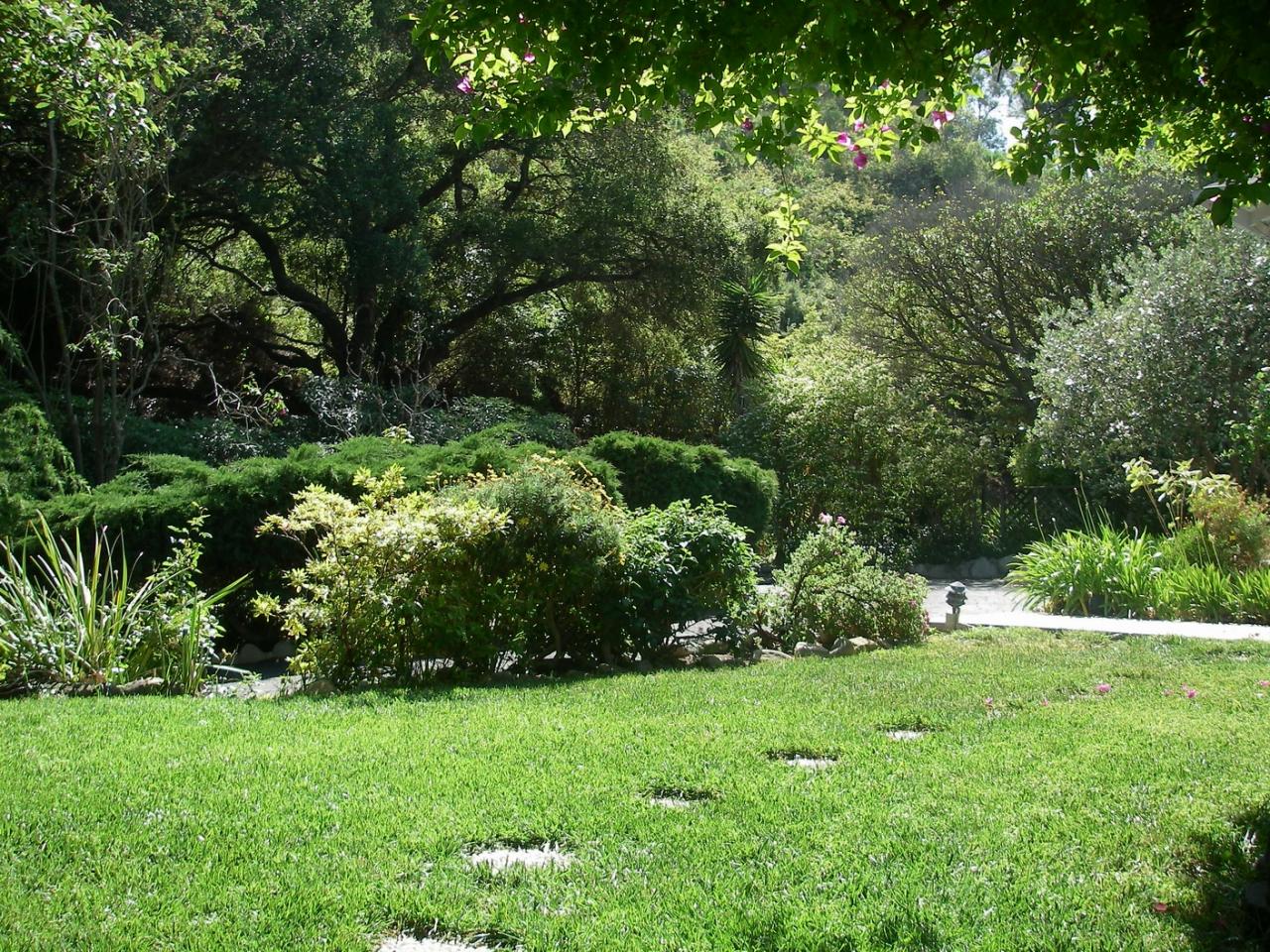 345 Conejo Road Santa Barbara, CA 93103 - Photo 5 of 9 a view of a lush green space