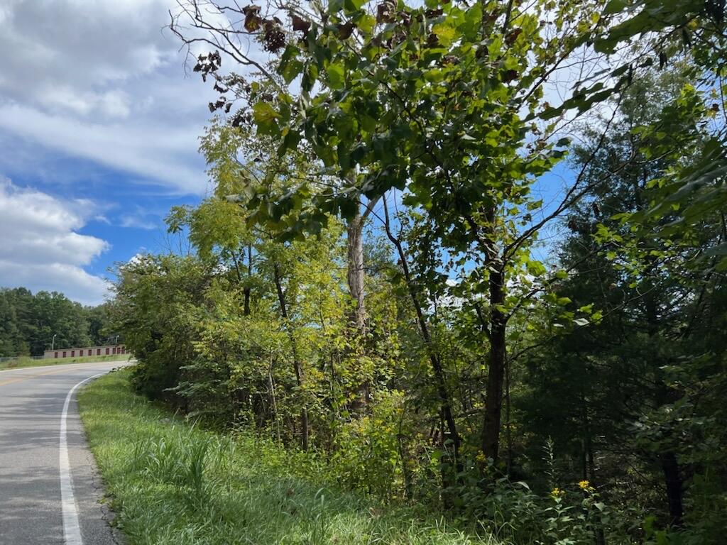 Lot 4 White House Road Moneta, VA 24121 - Photo 1 of 1 1