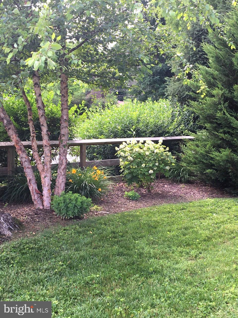 531 Richards Road Kennett Square, PA 19348 - Photo 37 of 39 Spring pic of plantings