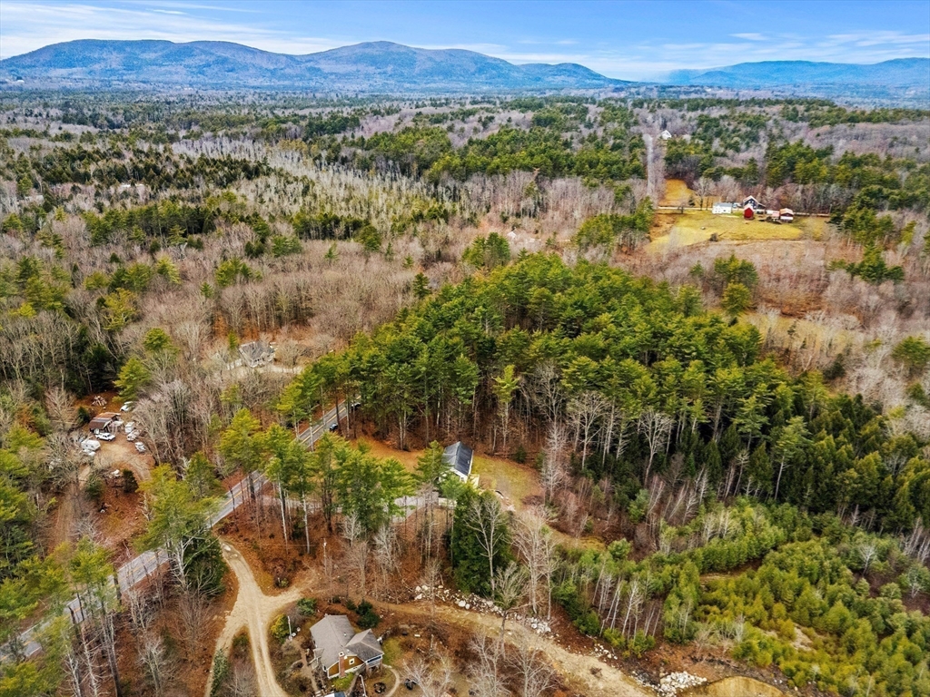 454 Little Pond Road Sandwich, NH 03227 - Photo 33 of 38 a view of a forest with mountains in the background
