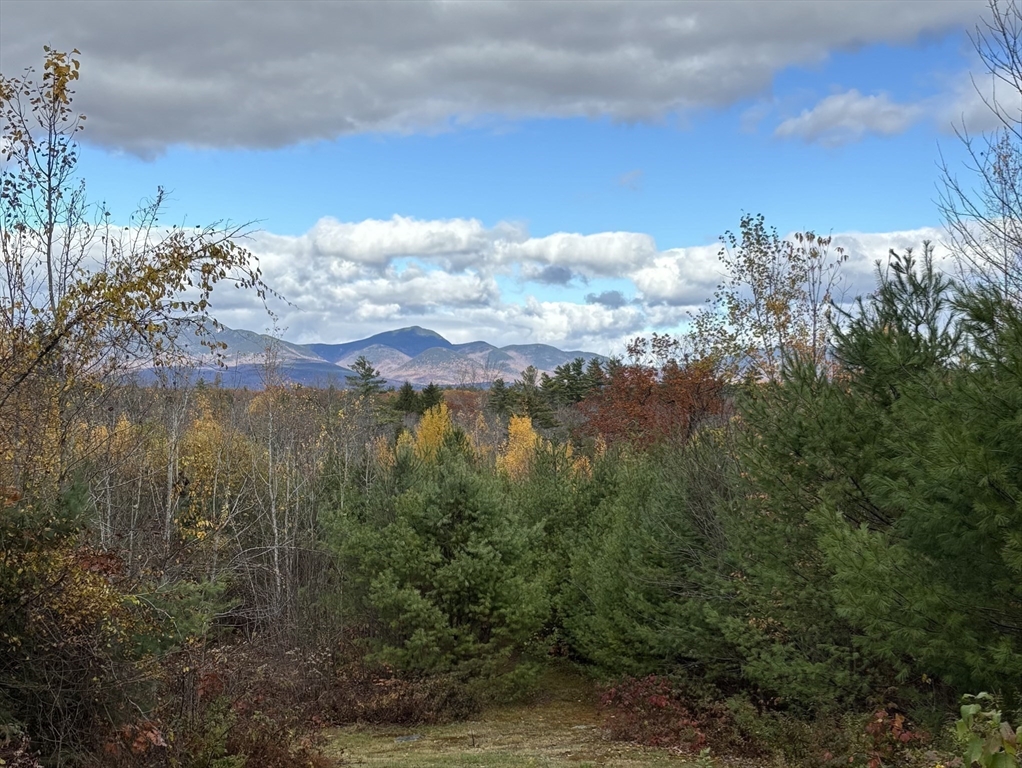 454 Little Pond Road Sandwich, NH 03227 - Photo 36 of 38 a view of a city