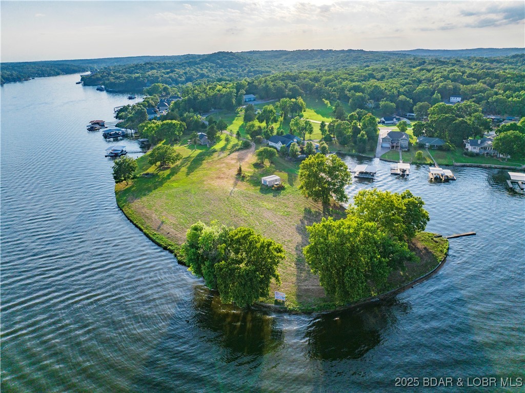 Lot 6 Bollinger Creek Road Climax Springs, MO 65324 - Photo 4 of 19