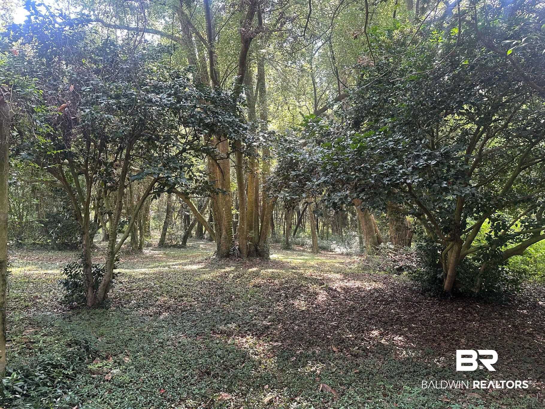 22951 Main Street Fairhope, AL 36532 - Photo 12 of 13 View of landscape featuring a view of trees
