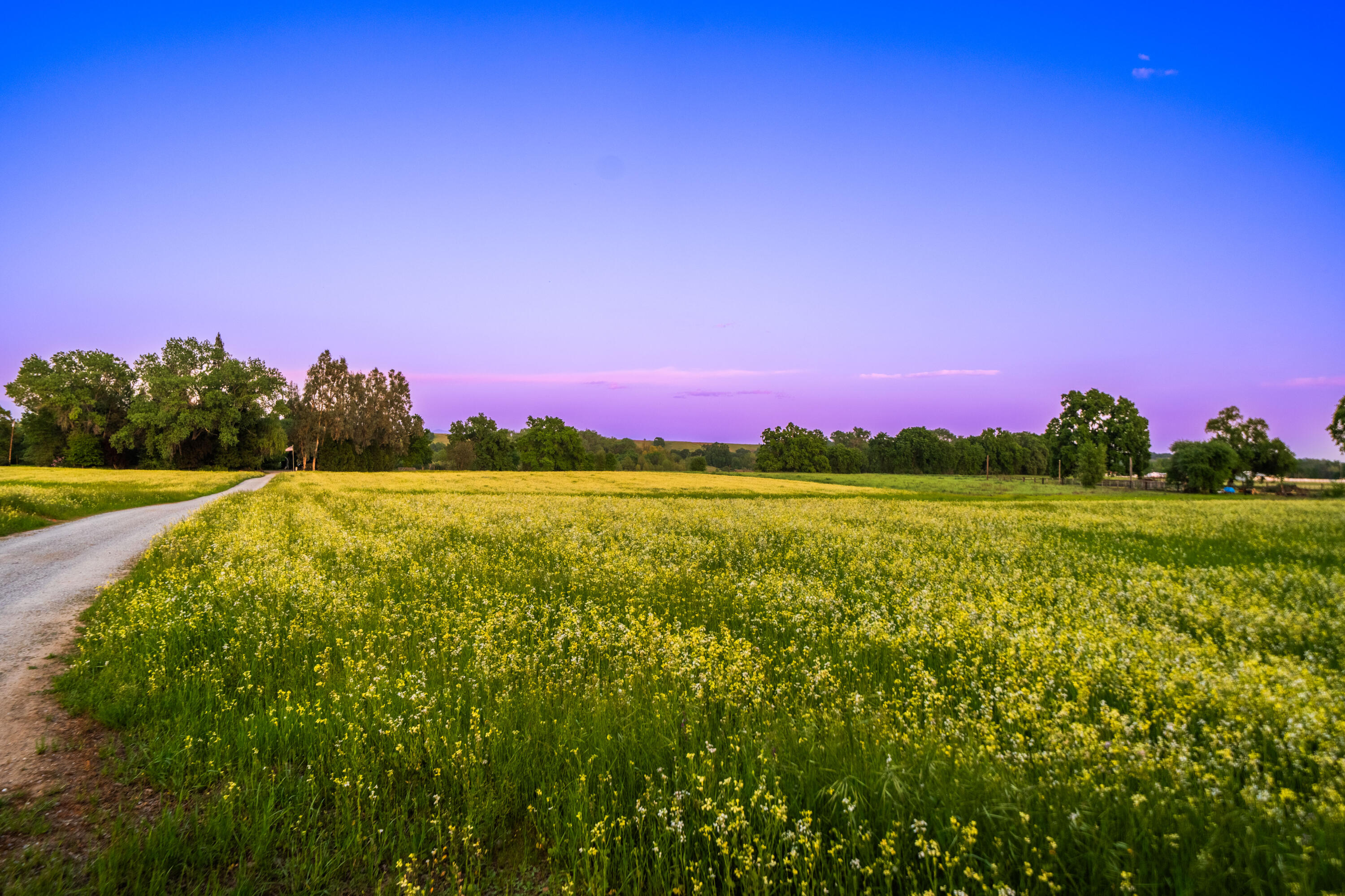 7075 Deschutes Road Anderson, CA 96007 - Photo 59 of 78 IMG-06