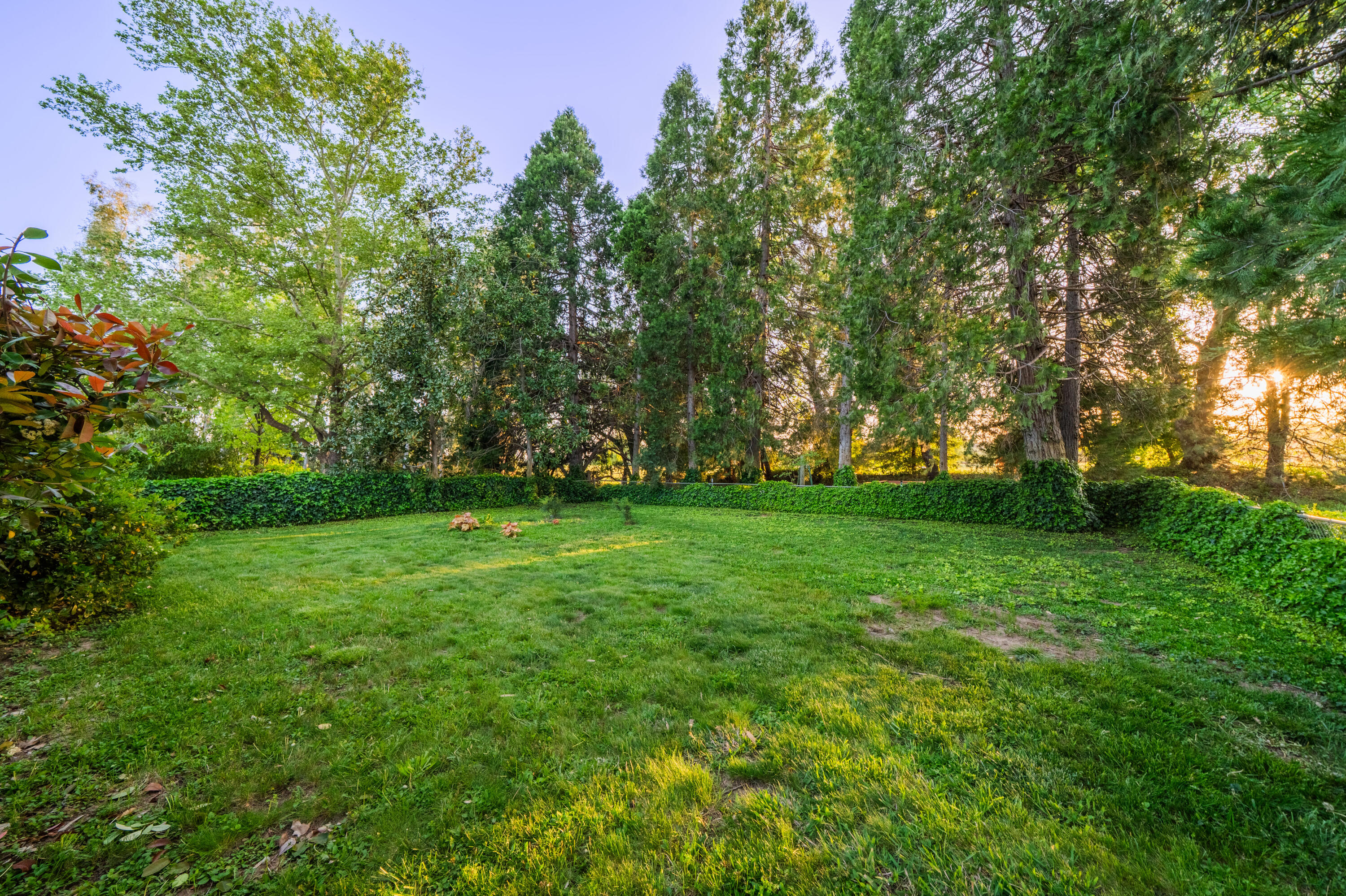7075 Deschutes Road Anderson, CA 96007 - Photo 61 of 78 IMG-49