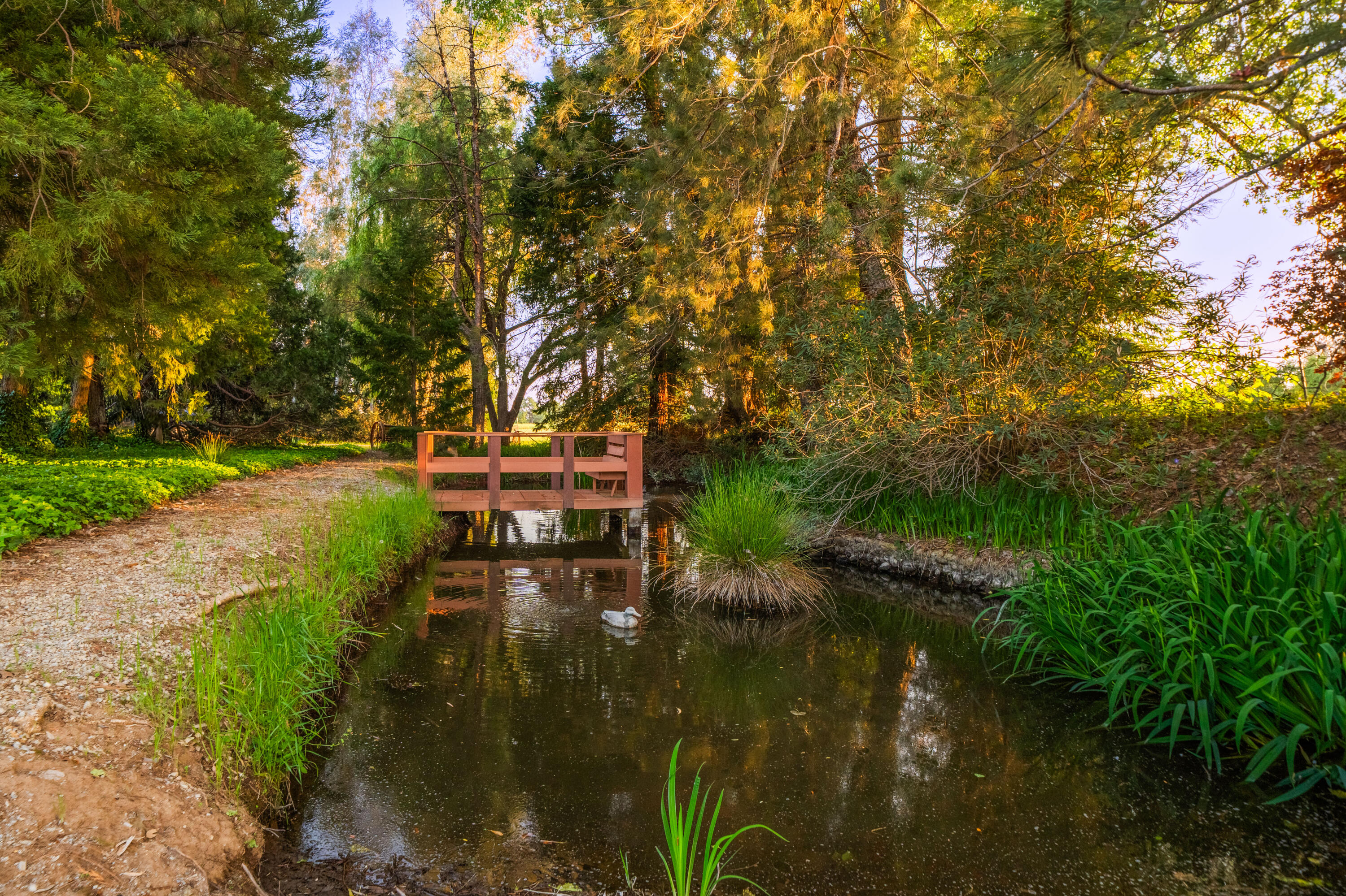 7075 Deschutes Road Anderson, CA 96007 - Photo 62 of 78 POND