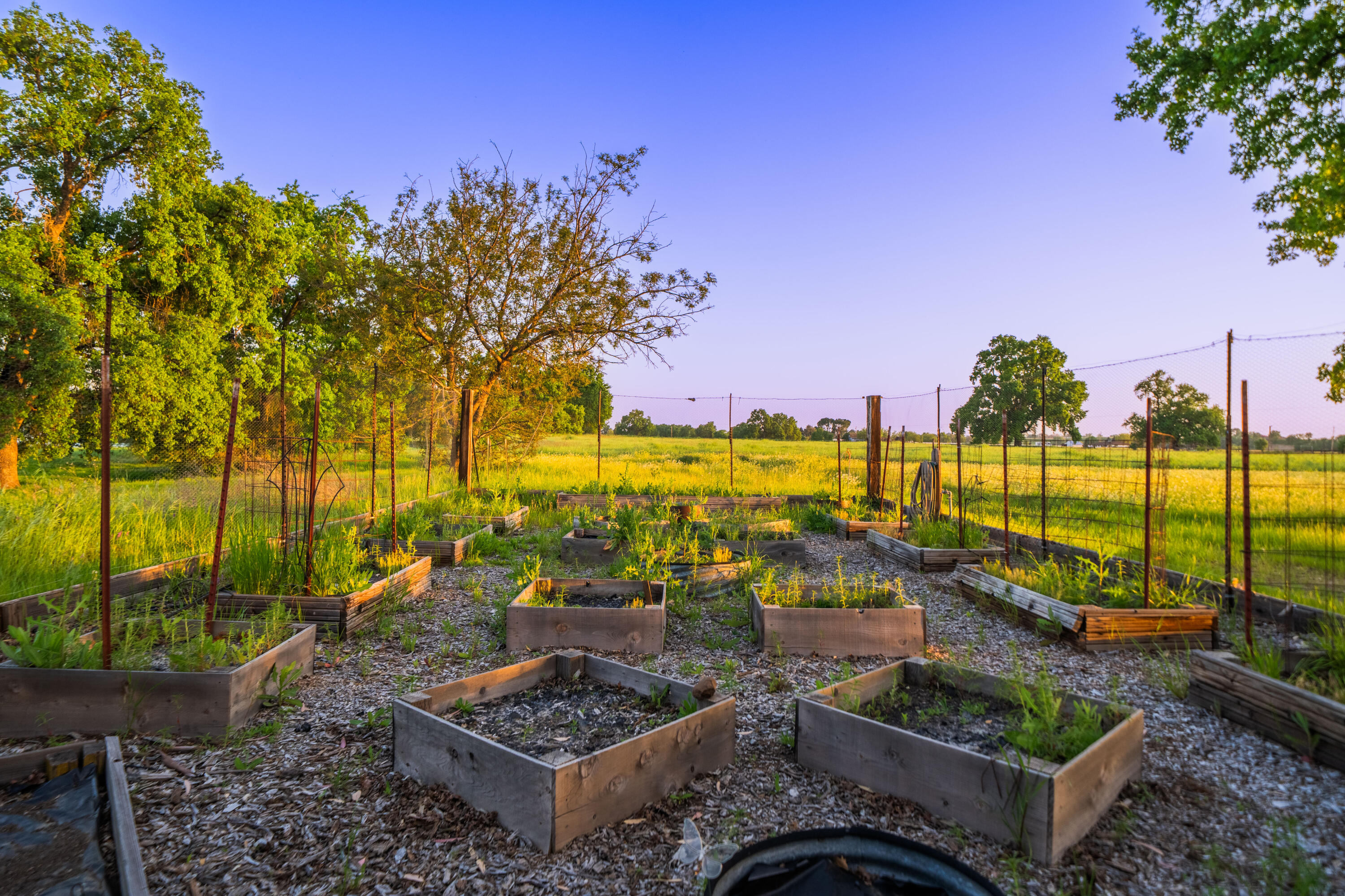 7075 Deschutes Road Anderson, CA 96007 - Photo 68 of 78 GARDEN AREA