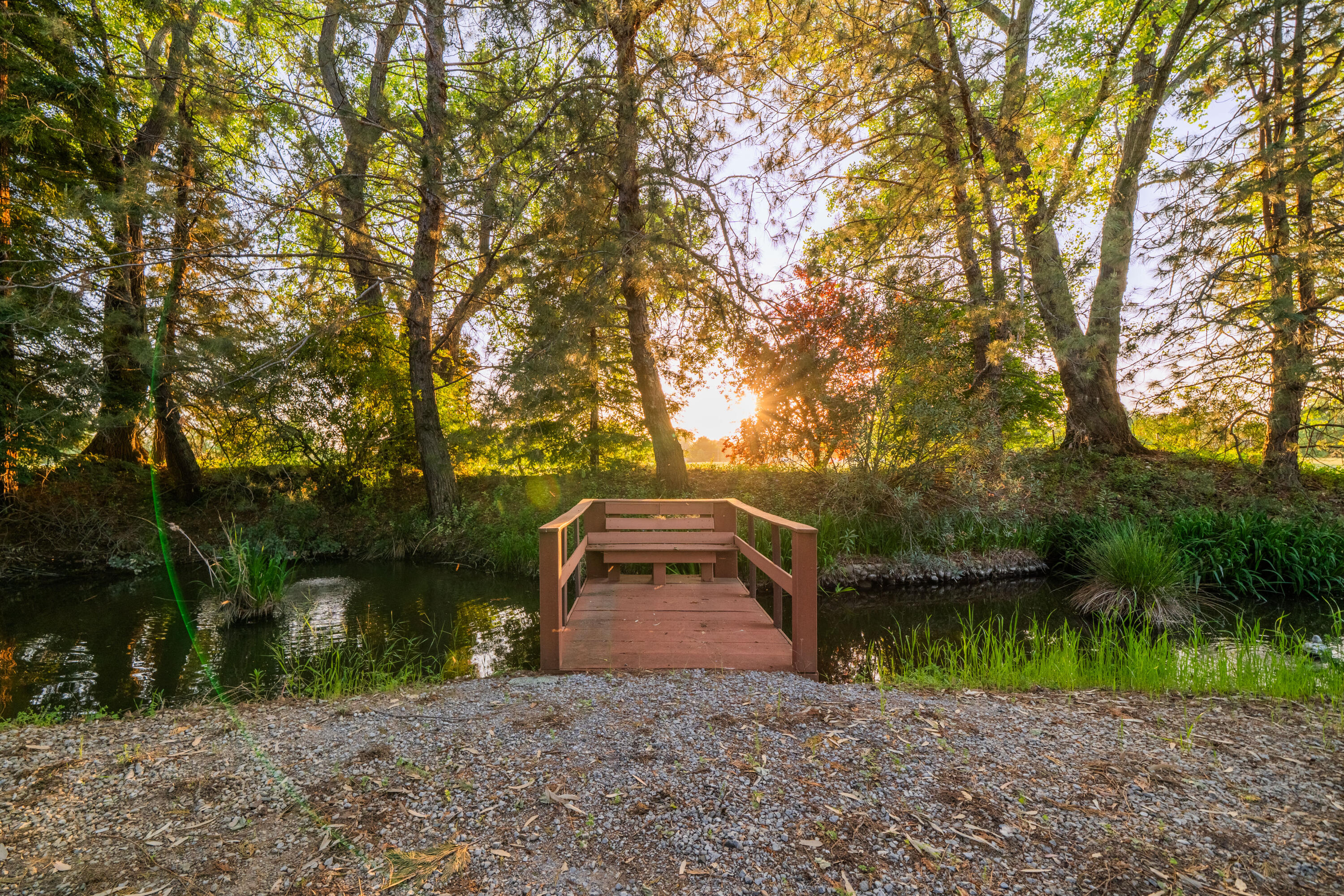 7075 Deschutes Road Anderson, CA 96007 - Photo 7 of 78 POND