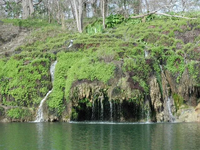 $599,999 | 20105 West Lake Parkway, Georgetown, TX 78628