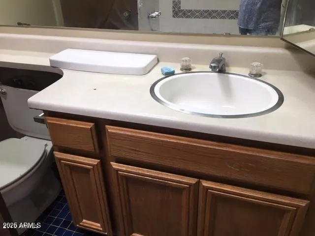 a bathroom with a sink and a toilet