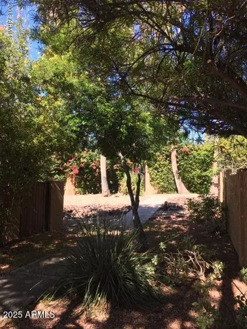 a view of a backyard with plants