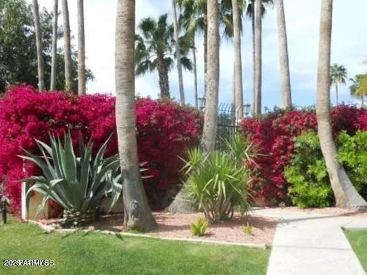 a view of a patio with a table chairs and a floor to ceiling window