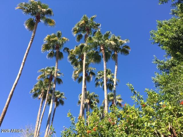 10424 North 11th Place, Unit 2 Phoenix, AZ 85020 - Photo 37 of 41